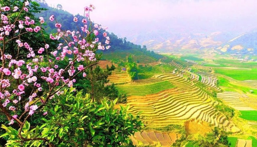 Service from the heart