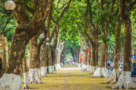 3 walking tours of Hanoi