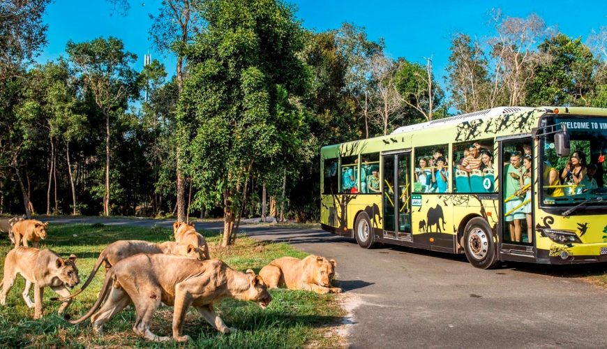 Service from the heart