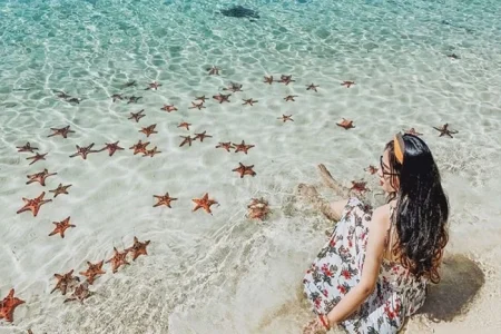 Bai Dai Beach Phu Quoc – An unspoiled tropical paradise in the pearl island