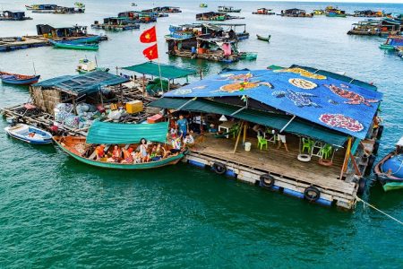 Hon Son Island: A pristine haven for nature lovers